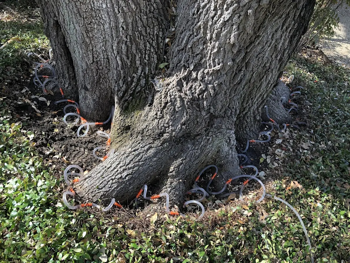 Detailed Shrub and Hedge Trimming job site in Garnett