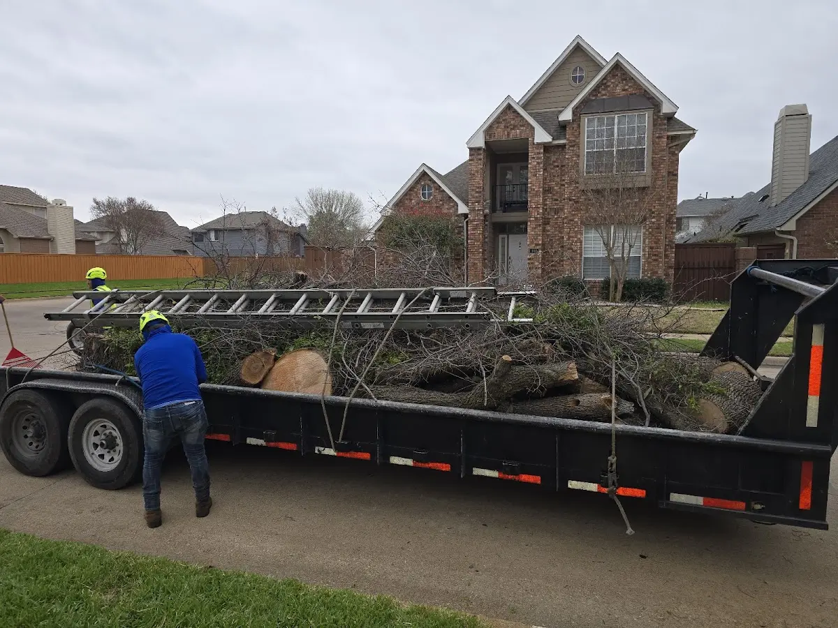 Expert Lot Clearing with proper safety equipment in Garnett